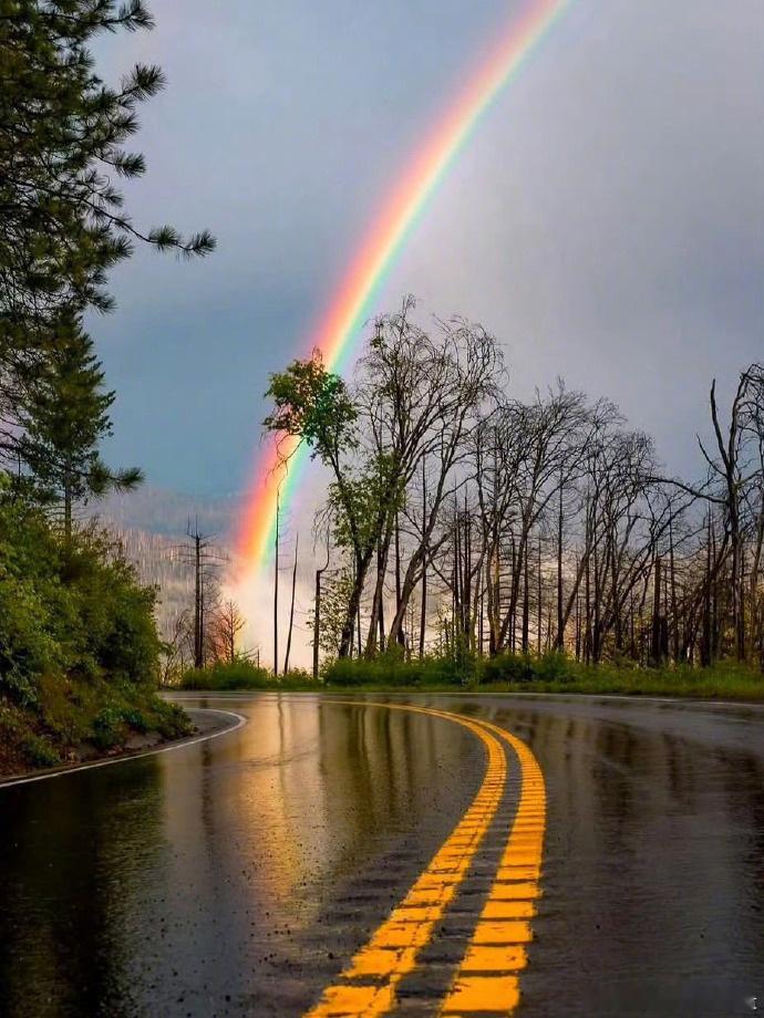 彩虹已经为你铺好前路，放宽心，你就要鸿运当头了！转赞送走霉运、锁定福气！ 