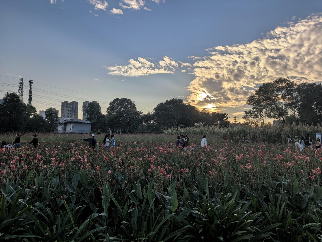 我拍到的落日瞬间回光返照。