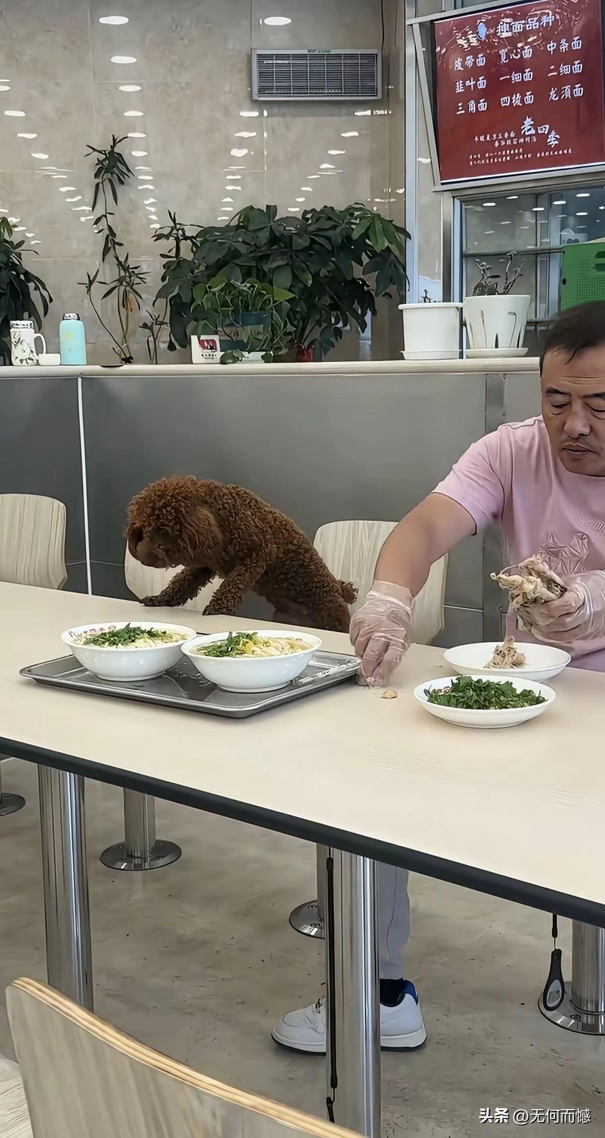 把狗领进餐厅，本身就是一件让人非常讨厌的事情，更让人讨厌的是，这个男子不仅把狗领