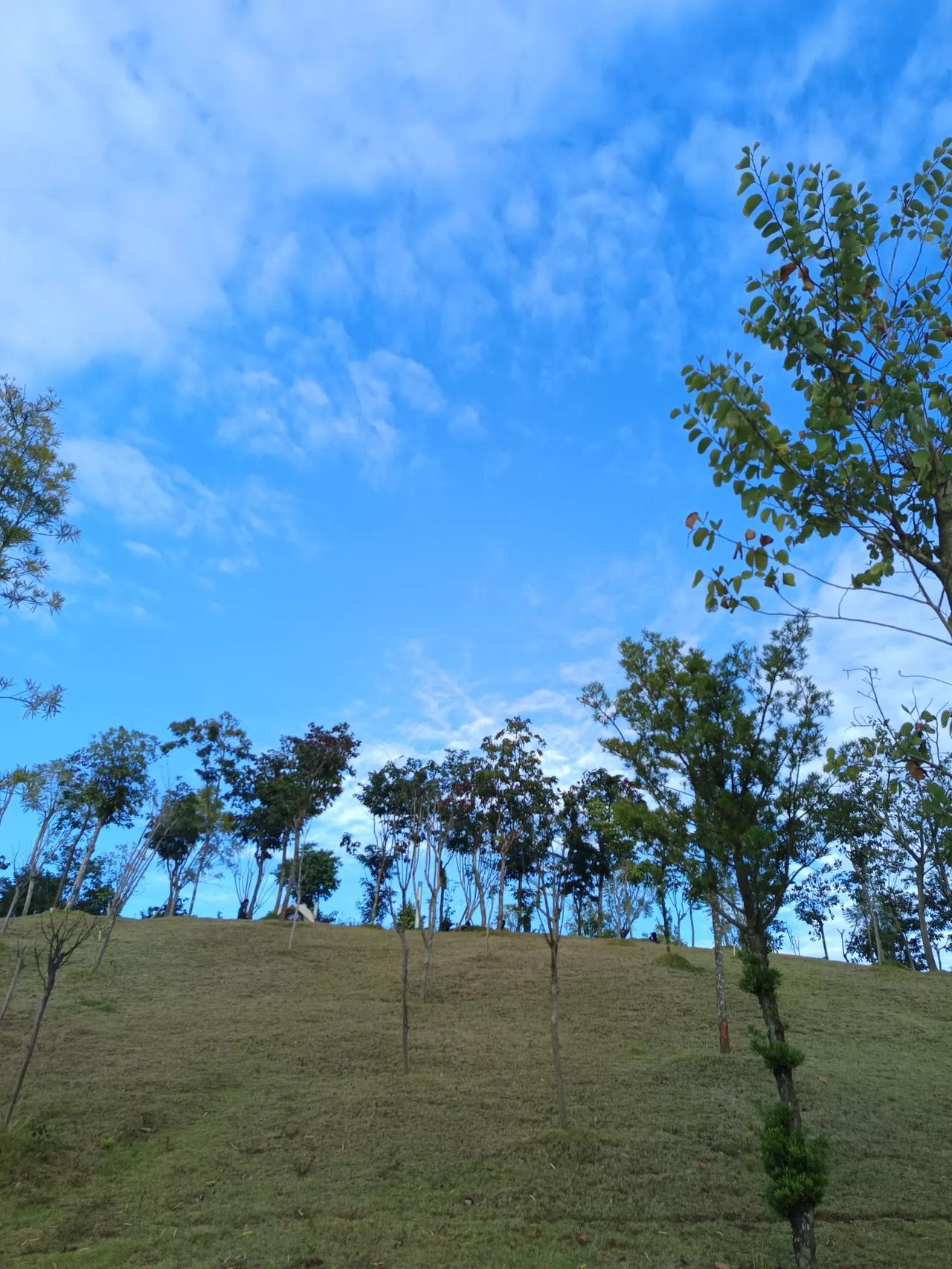 人这一辈子，

没人会，

一直陪着你，

除非你懂珍惜，

更要够独立。

一