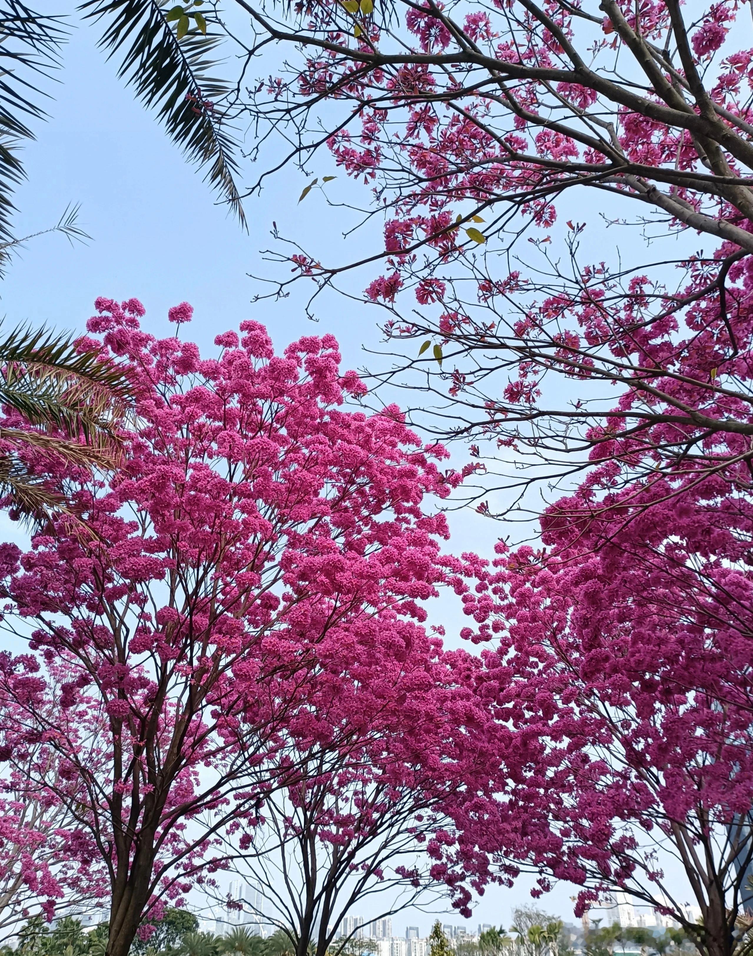 建立四大战略管理会议制度，引入专家制衡机制这样就能确保企业战略的科学制定与有效实