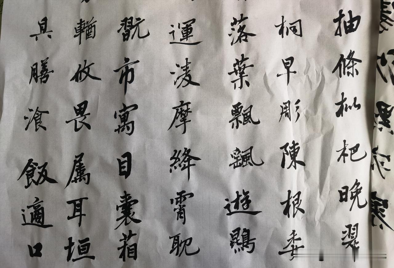 临《千字文》日课小记
 昨夜临池，取《千字文》片段习书。一纸铺开，静气凝神，逐字