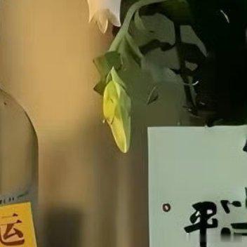 每日一善 有些人必生所追求的东西往往是另一些人与生就俱来的东西。而当人生将走到尽