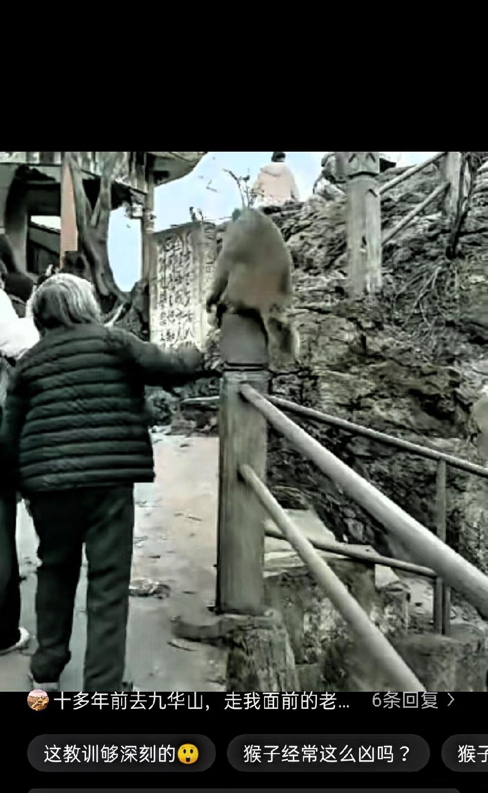 这个老太太手太欠！
都这把年纪了，
还不该稳重些吗？
 
视频里这位老人的经历，