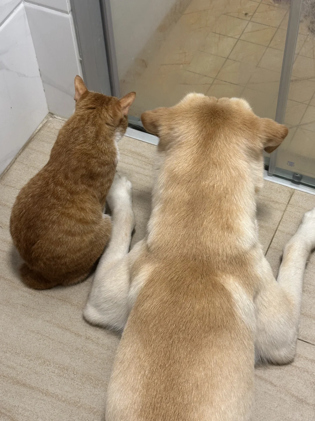 猜猜他们在看什么
