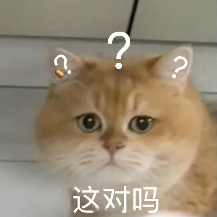 怎么迪丽热巴难道不是女性？打着爱女的旗号豆瓣天天论这个人的长论那个人的短，躲在背