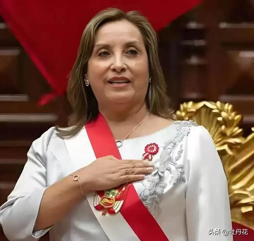 秘鲁这一刀，砍的真狠！中国汽车轮胎在秘鲁彻底“芭比Q”了，3月24日，秘鲁刚刚出