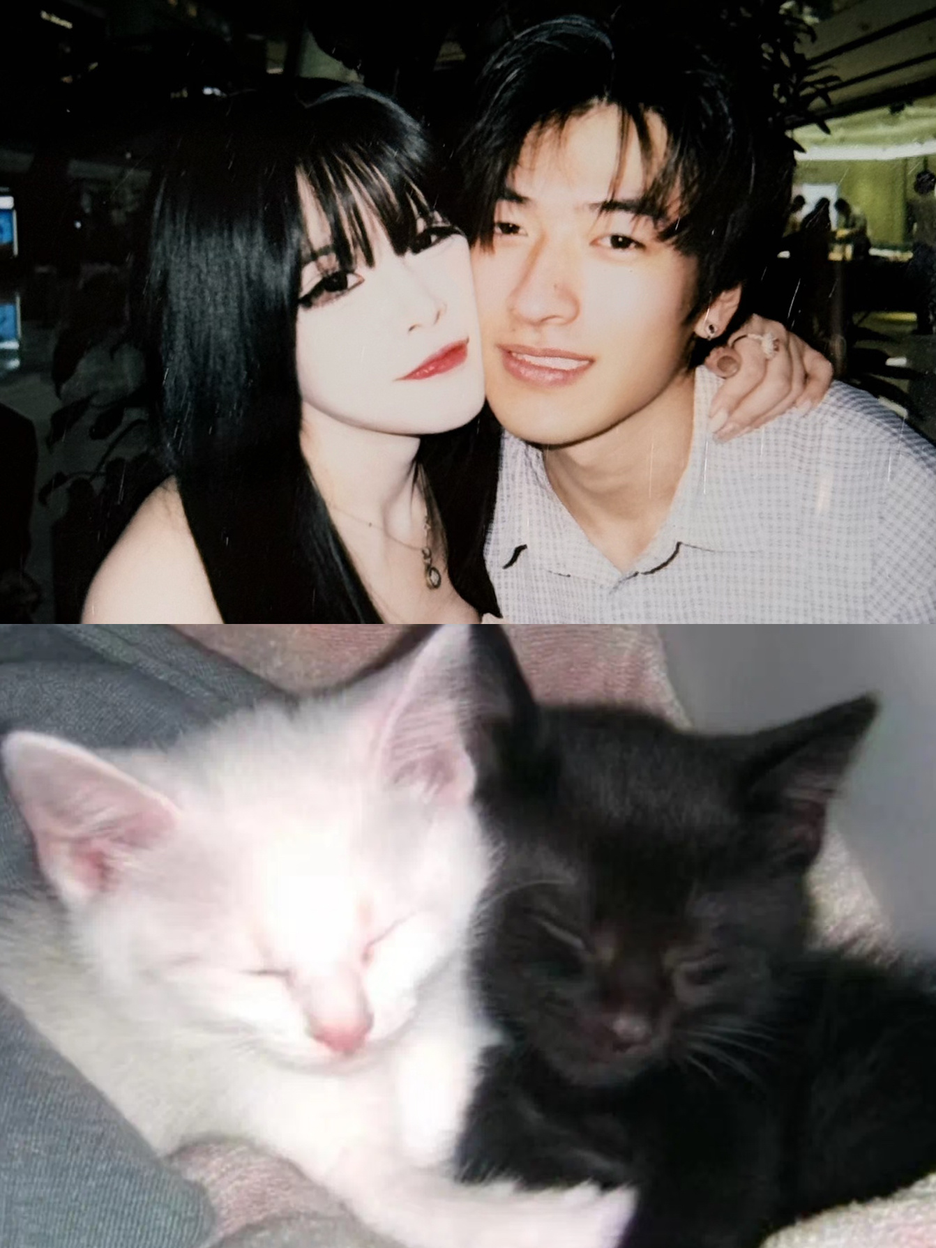 贴贴🐈⬛ 