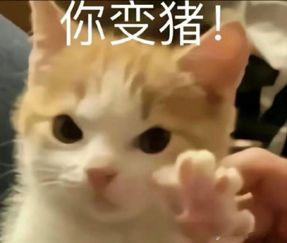 互关2000多好多不是铁粉的我也没有精力清了，但是列表拉下来居然有十几个单取的，