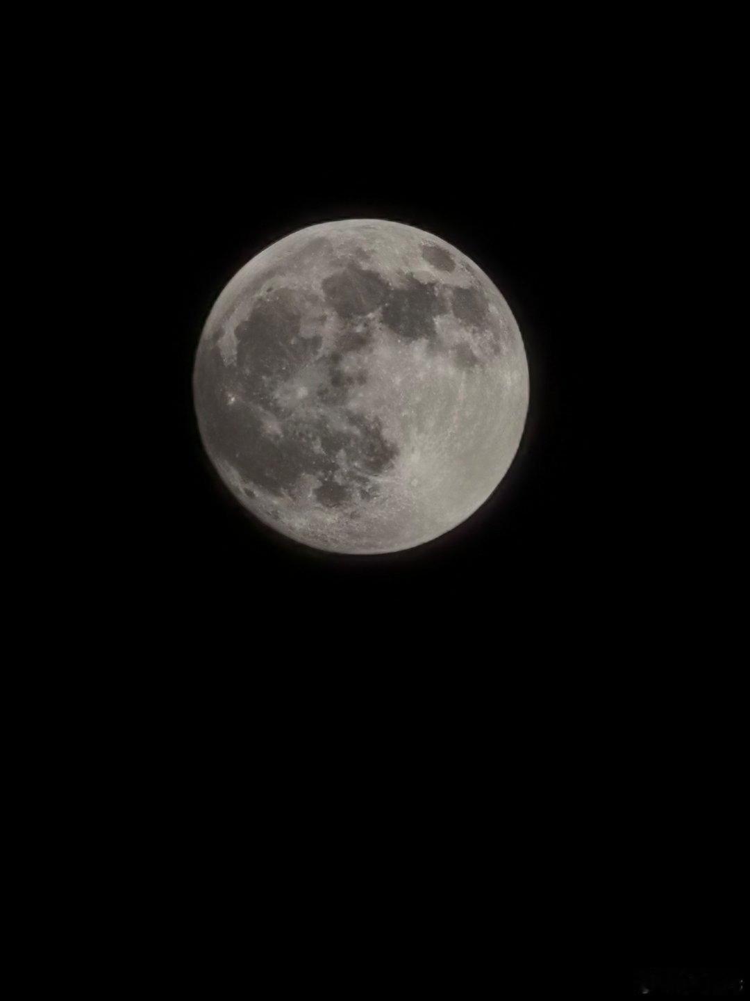 分享图片 ​​​