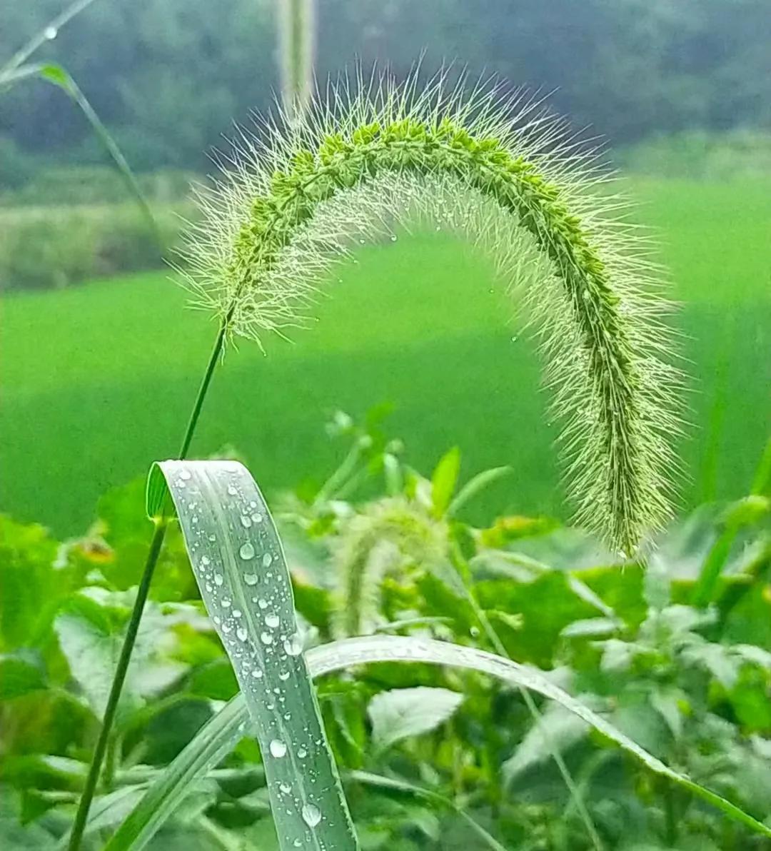 #秋日生活打卡季#
秋天的早晨，阳光透过窗户洒在温暖的被窝里，我打卡了新的一天。