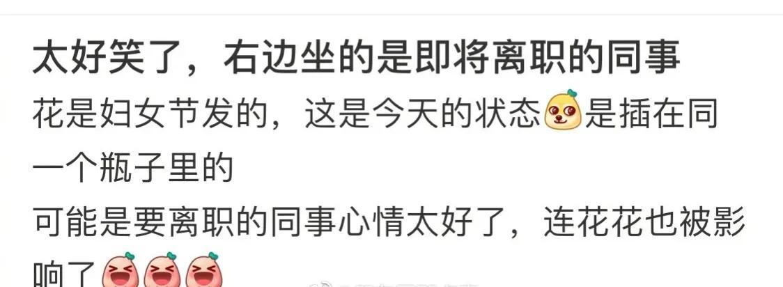 终于明白在办公室连绿萝都养不活的原因了[捂脸]