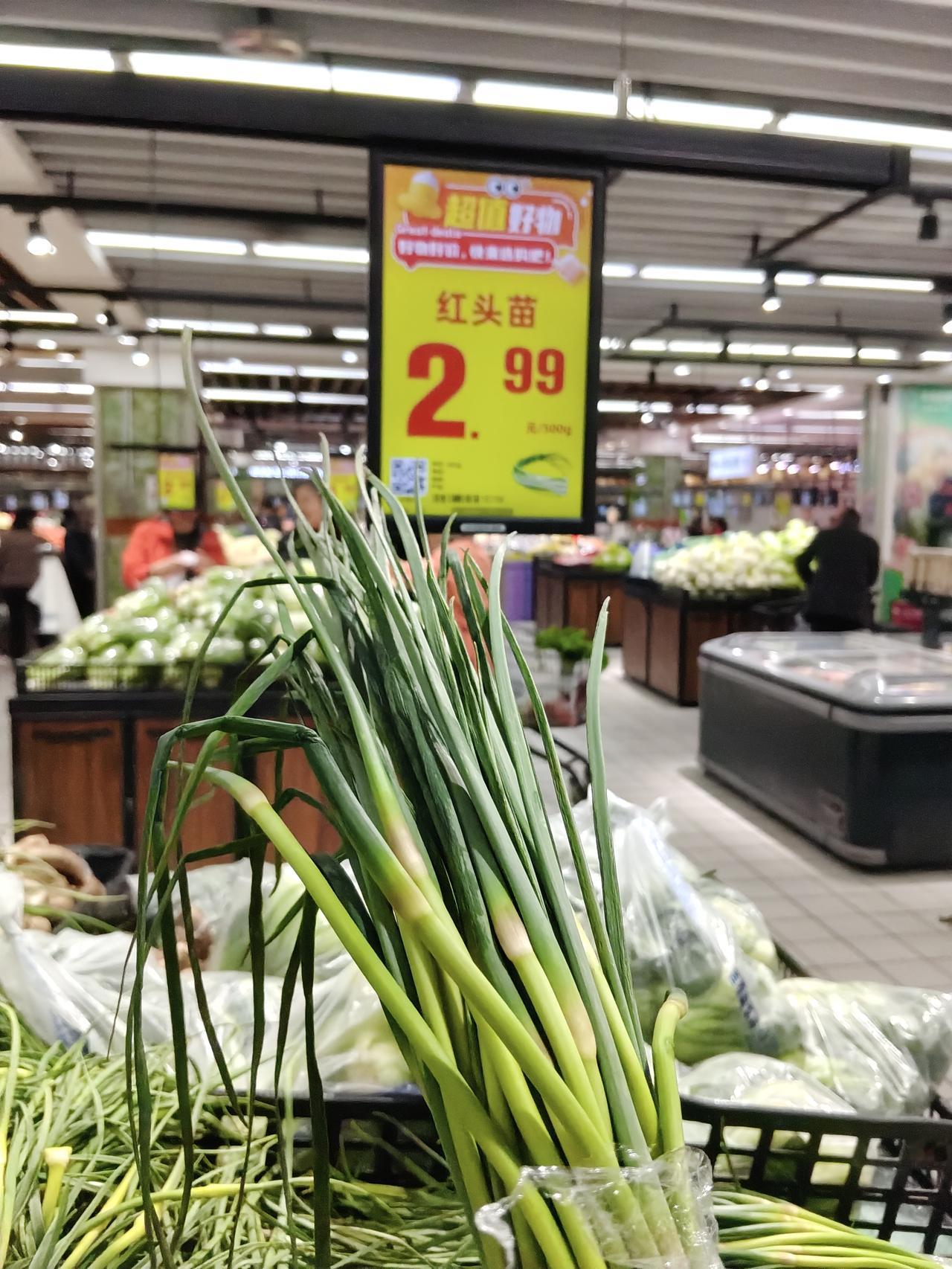 在超市里看见，新蒜苔已下来，挺新鲜的。蒜苔是两种，一种标着"新蒜苔"，另一种标着