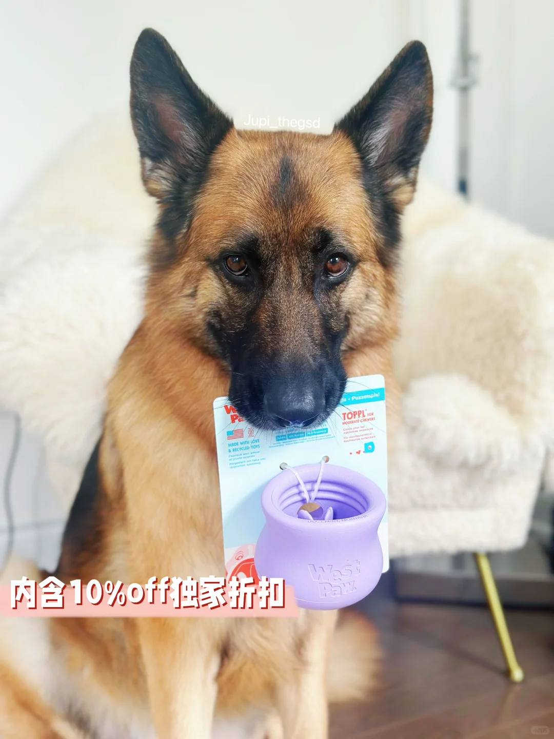 【限量版的Toppl】🆚【丧丧的猪皮】