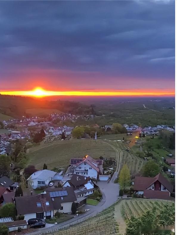 【财富晚茶】午盘透析(10.31)：北证涨3.43%：林业反弹通讯回调导语：作者