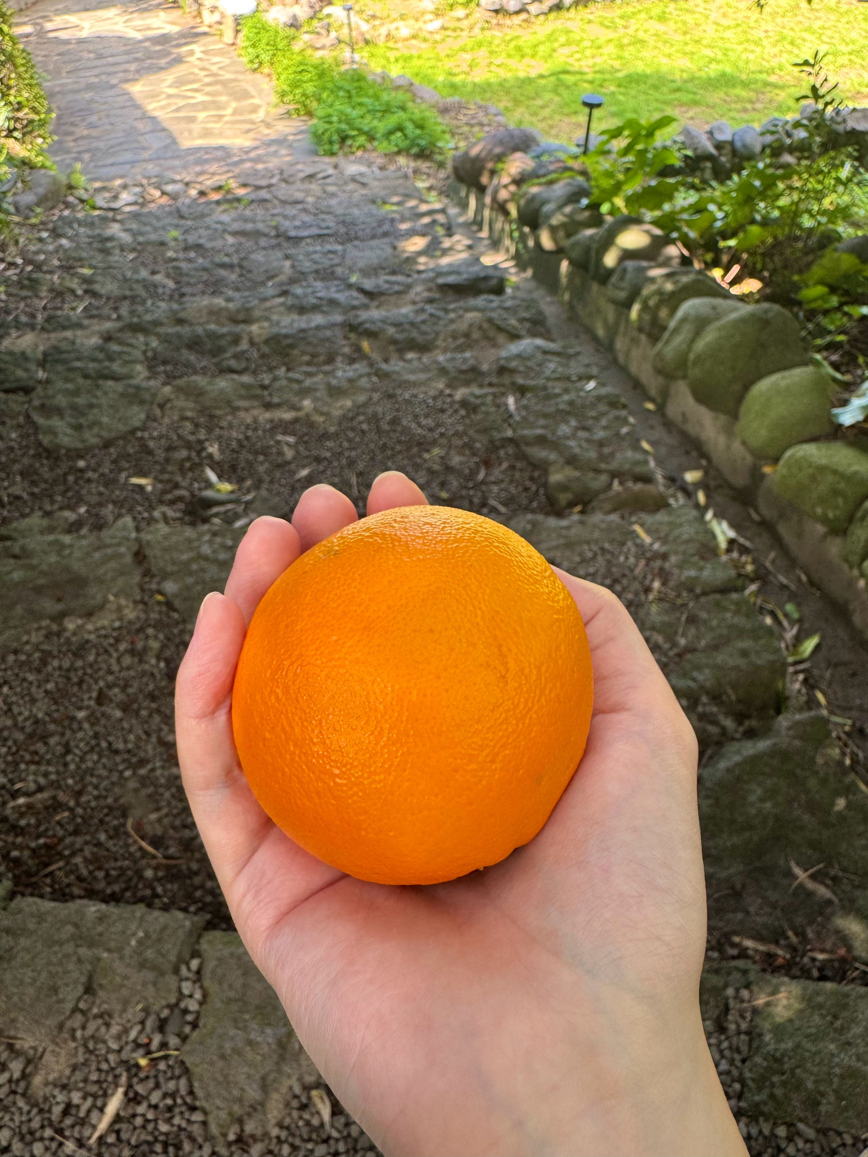 迷茫的背后是对未知的害怕与失控，总认为当下的自己无法抵达远方.但成长如破土而出的