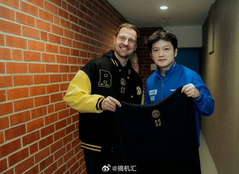 樊振东说现在打比赛都是美好回忆，看这些照片，可以发现小胖是乐在每一场比赛中，在享