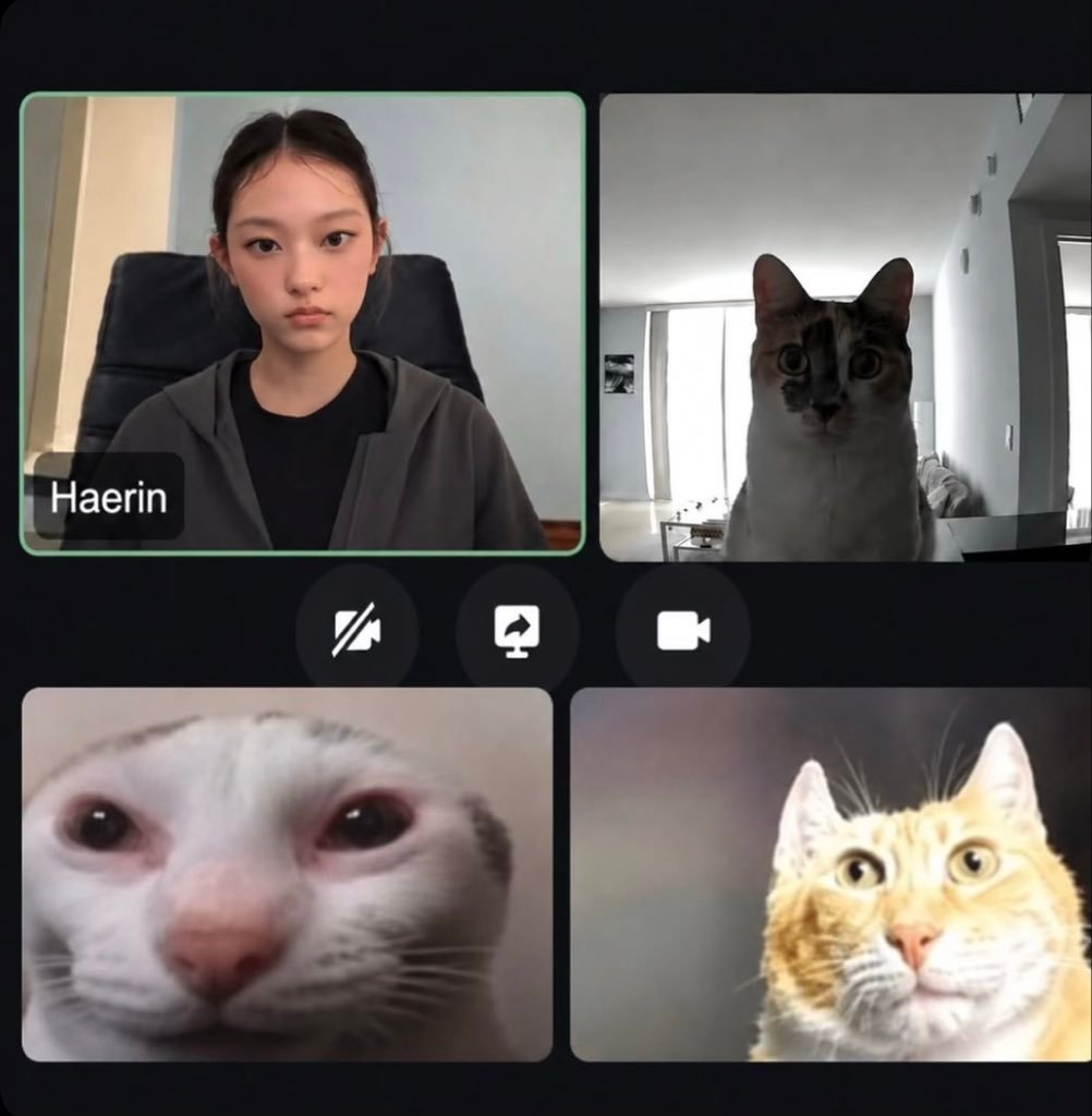 Haerin 260628 万赞视频会议“看起来这四只彼此都不清楚现在是什么情况