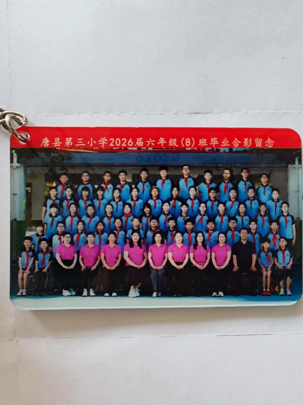 六年光阴，一晃而过，你从懵懂的小不点，长成了有担当的小大人。毕业不是结束，而是新