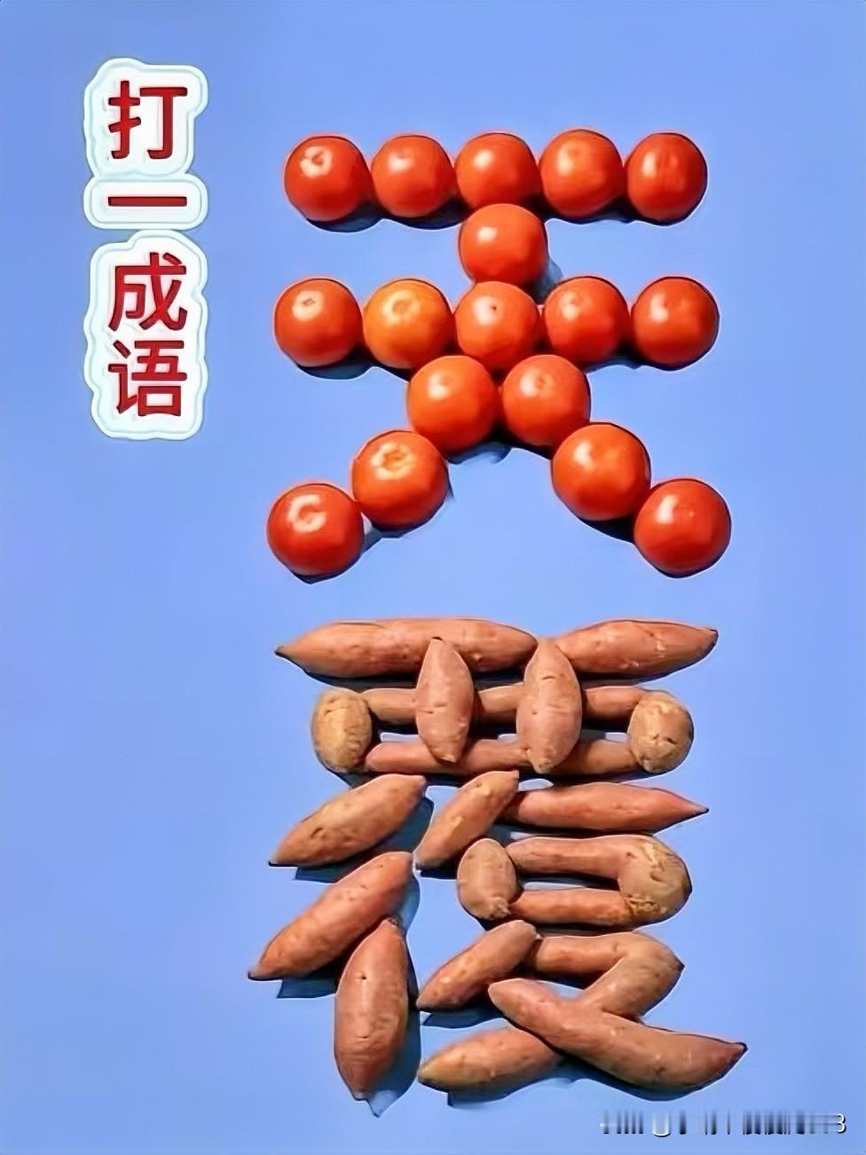 番茄和红薯拼出趣味谜题
猜成语  
番茄上天一红薯覆地[灵光一闪]