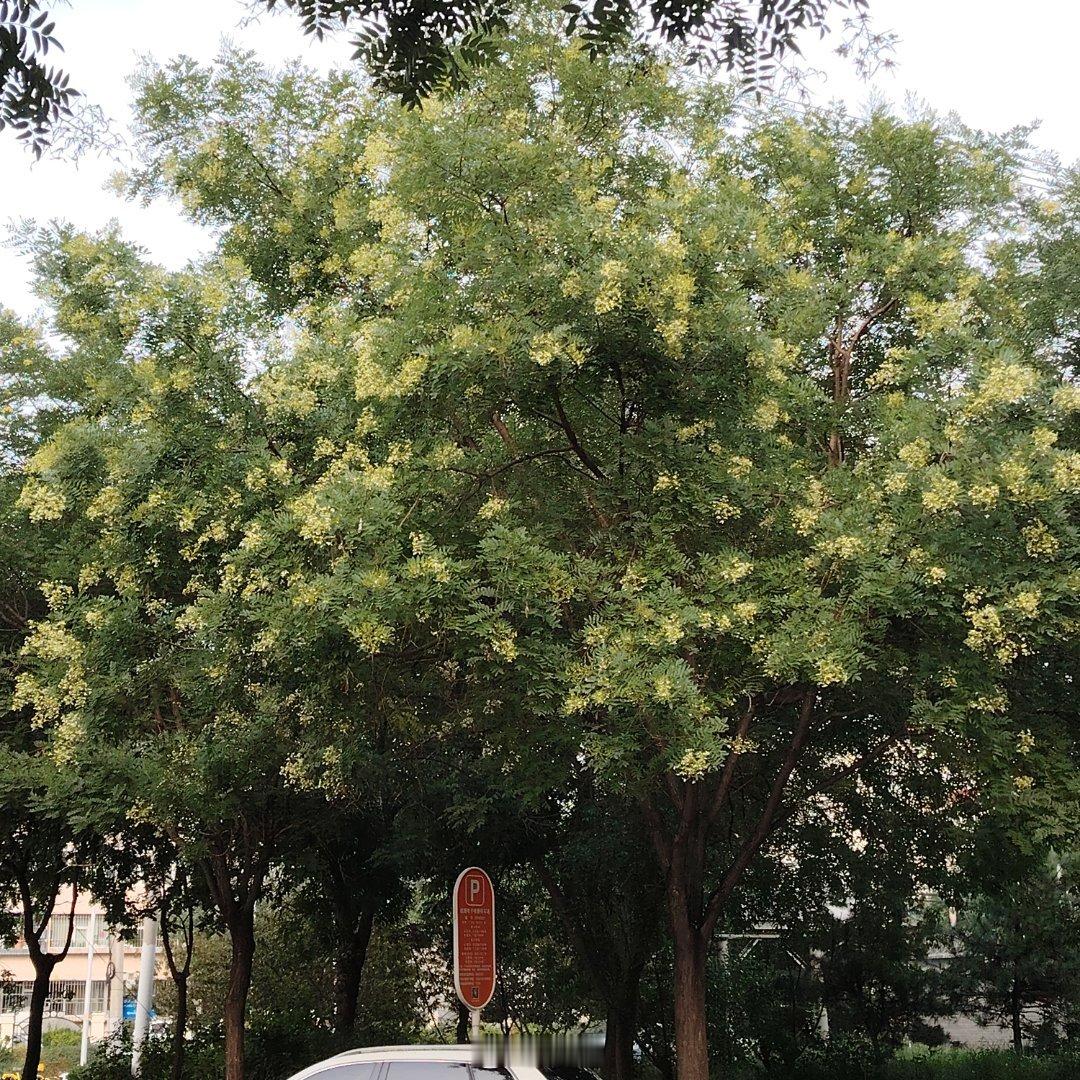 风风雨雨，随遇而安～ 
