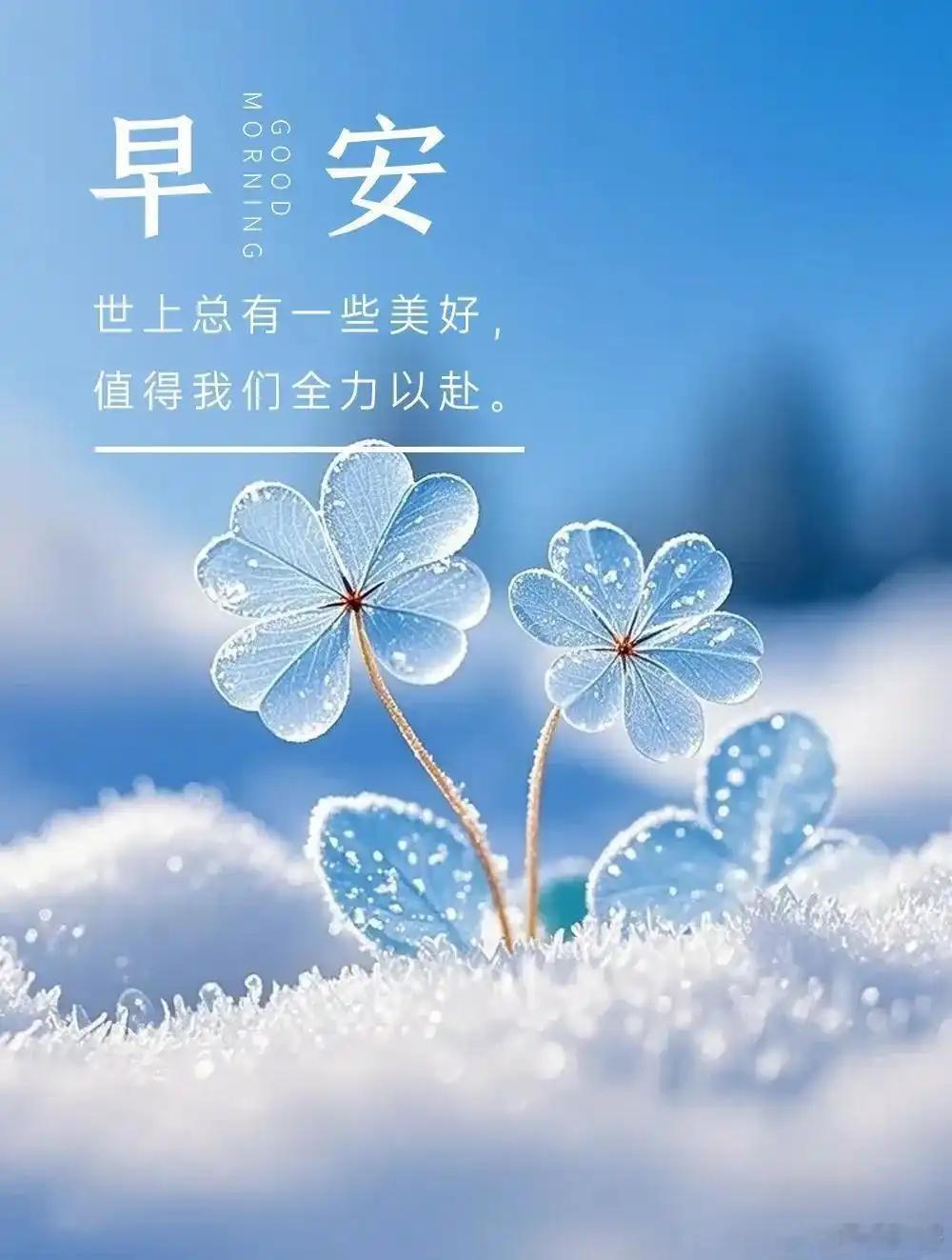 早上好，宝们！点赞打卡养成金粉体质新的一周，新的起航，评论区见真章！ 