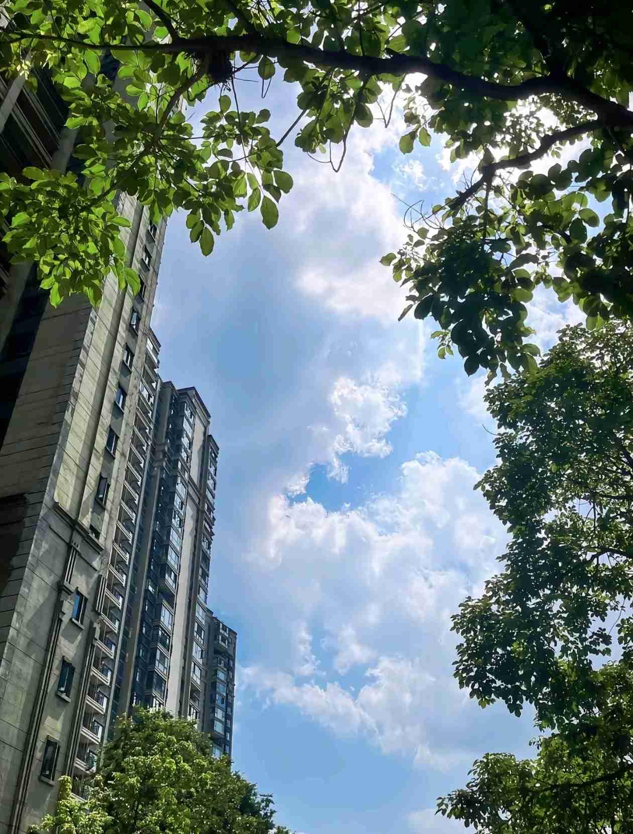 我的今日状态：😁轻松愉快
我这里的天气：🌤️多云

成年人最顶级的清醒~
就
