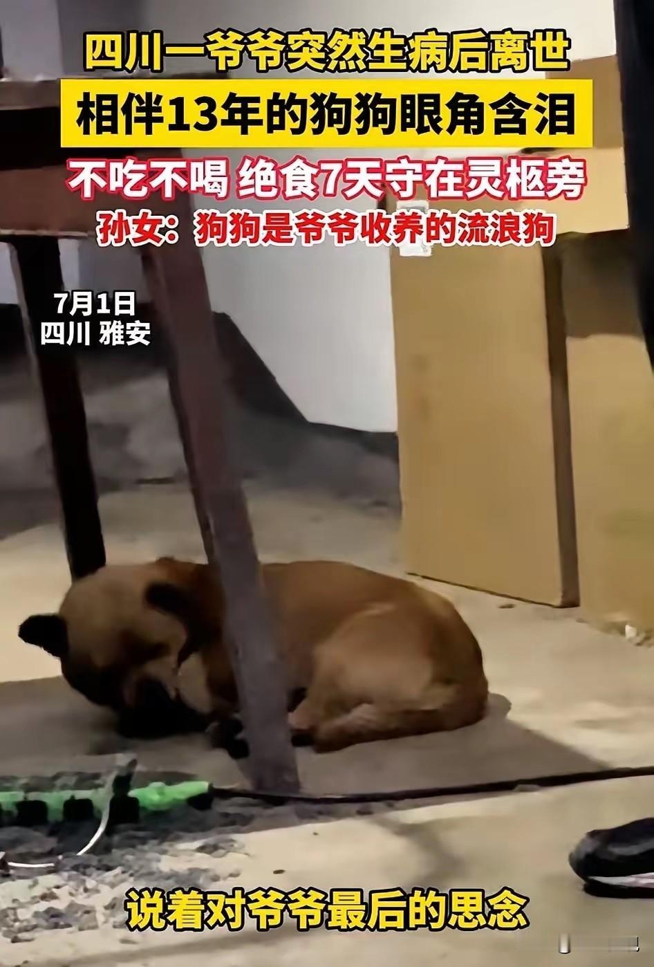 四川雅安，一女子的爷爷突发疾病住进ICU，最终爷爷还是因疾病离开了人世。而爷爷的