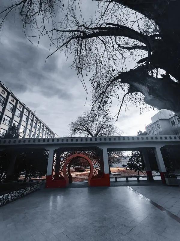 原来“轮回”不是迷信，是我们自己的思维在原地打转

你有没有发现，有些坑，我们总