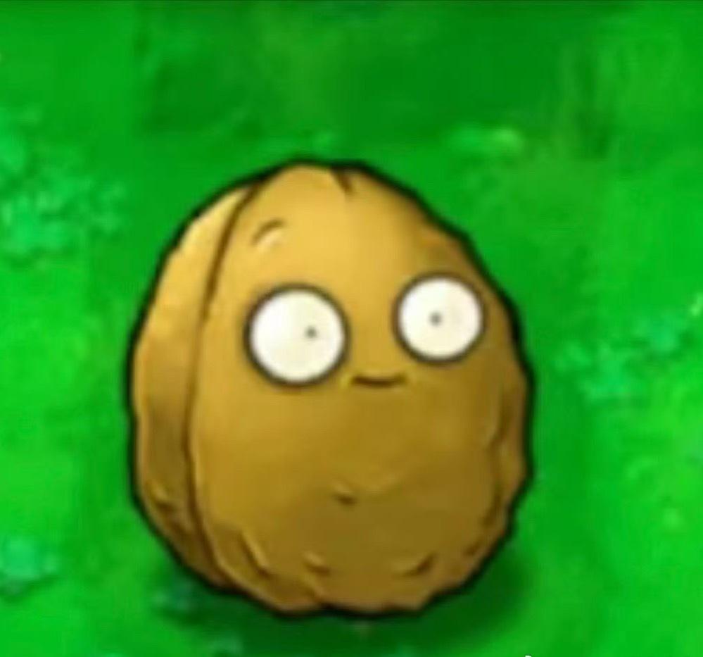 我从没有把它具象化成任何一种坚果
如果是核桃，好像没那么坚不可摧了

坚果墙其实