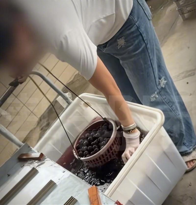 #福建漳州启用杨梅溯源码#【因泡药杨梅事件23人被问责处理的漳州龙海：启用杨梅溯