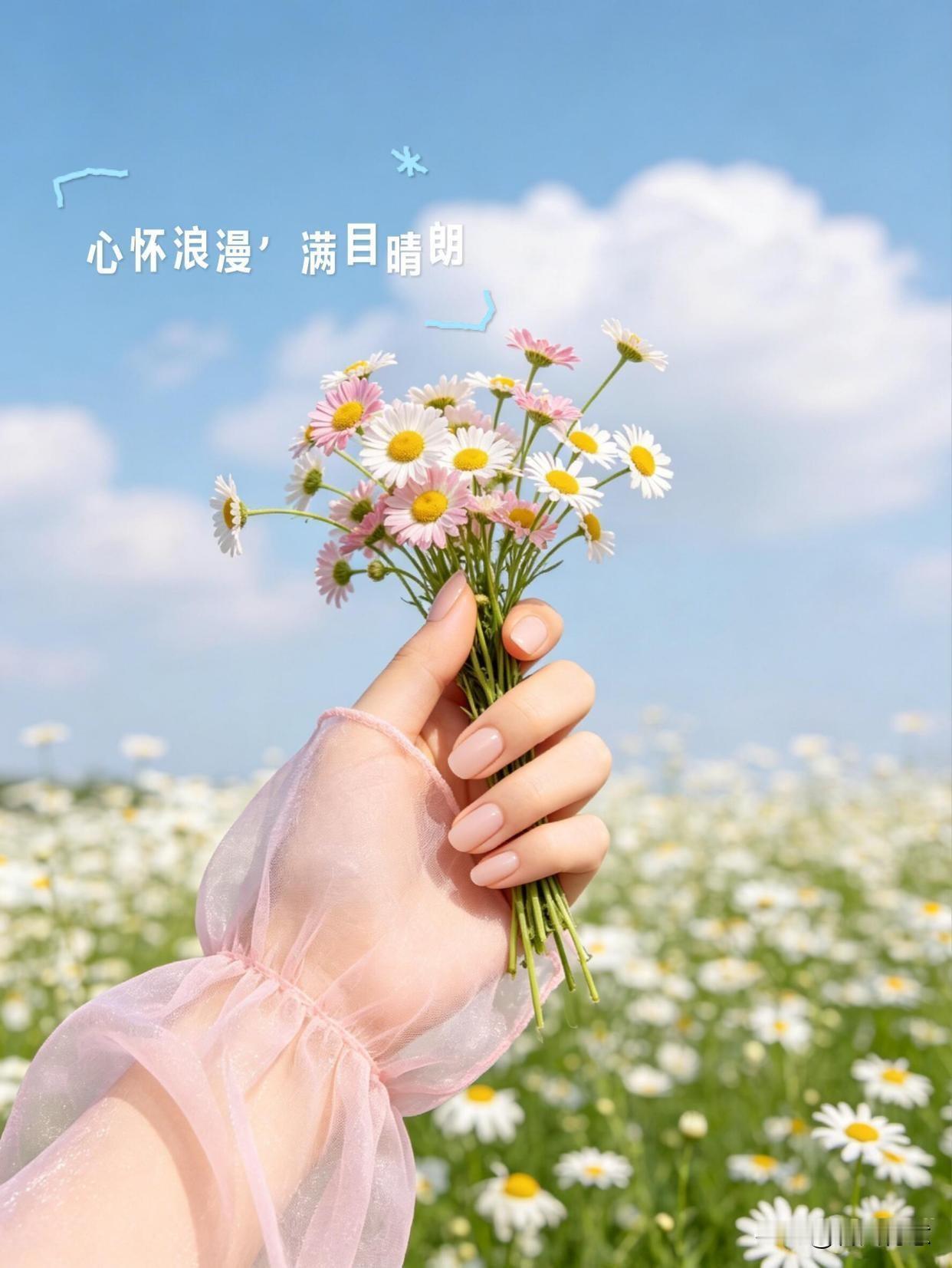 如果感觉有用，拿图记得点赞收藏，，，，谢谢