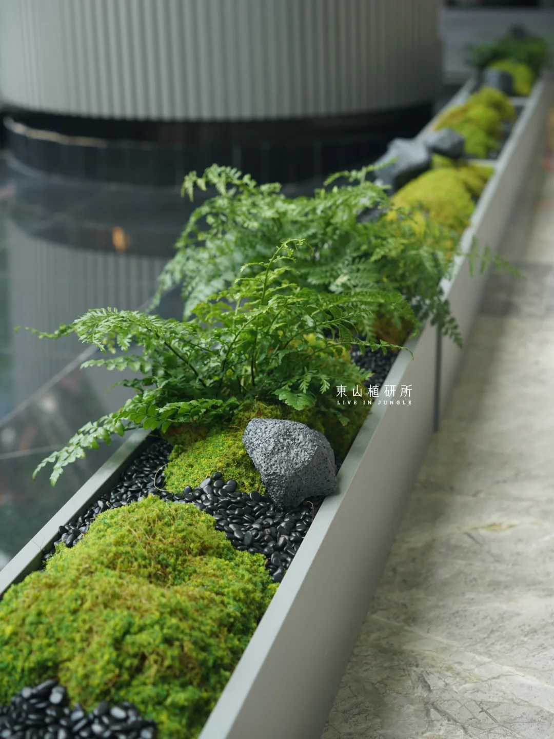 东植x越秀金融大厦|大堂苔藓造景