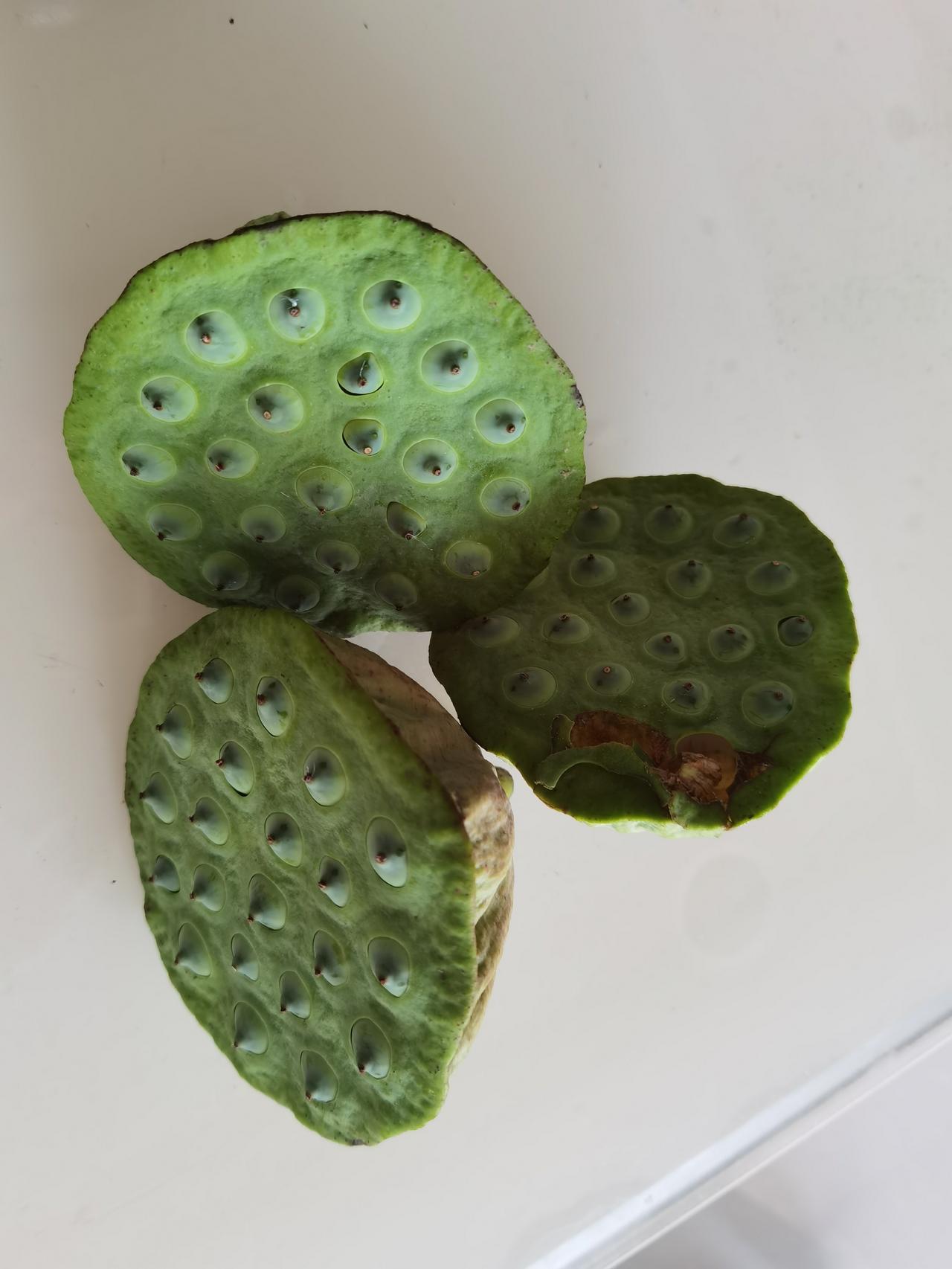这是我90岁的老娘给我买的莲蓬，老人家这么大年纪了，还记得我小时候爱吃的东西。老