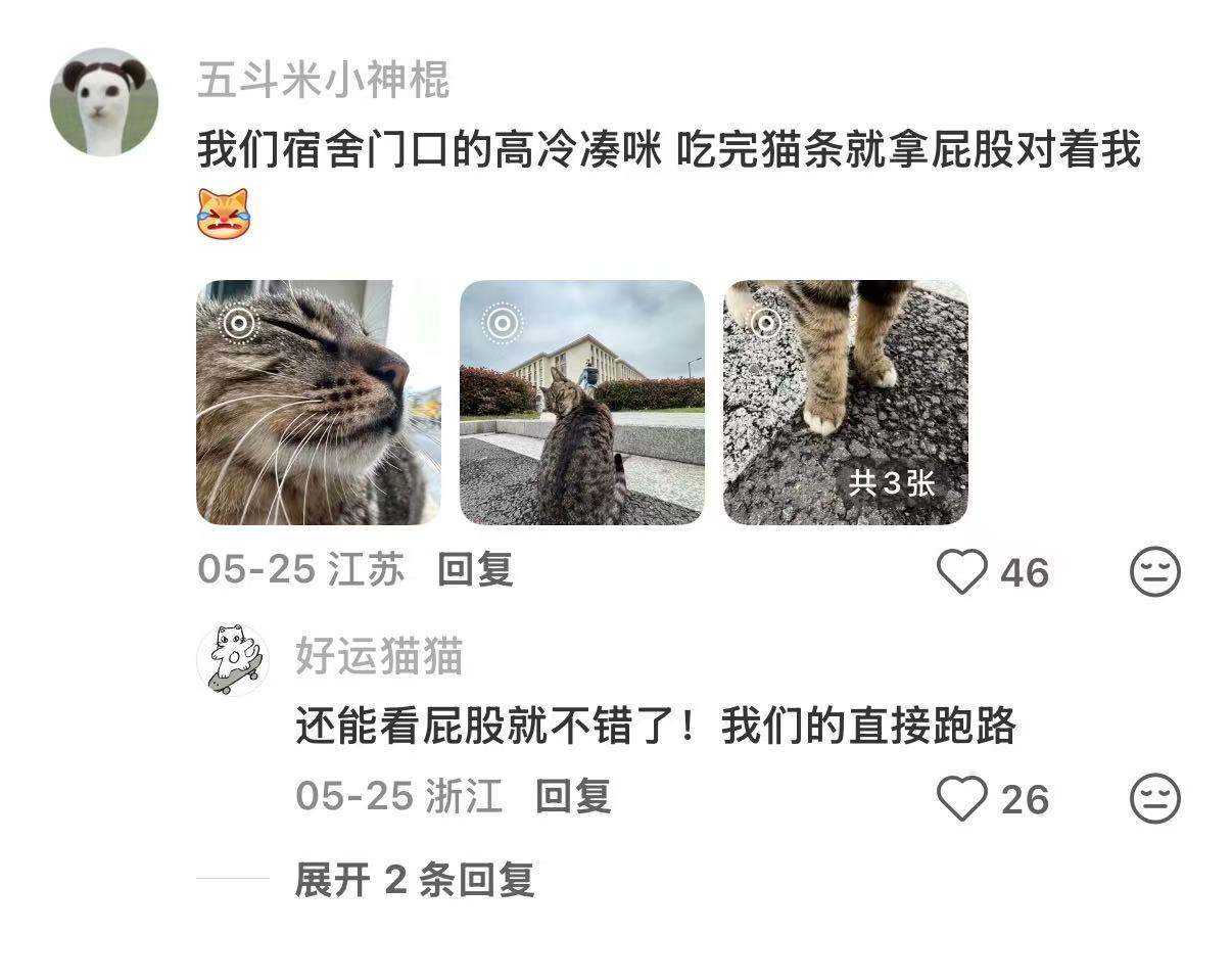 躺在女寝门口你是觉得你很有魅力吗 