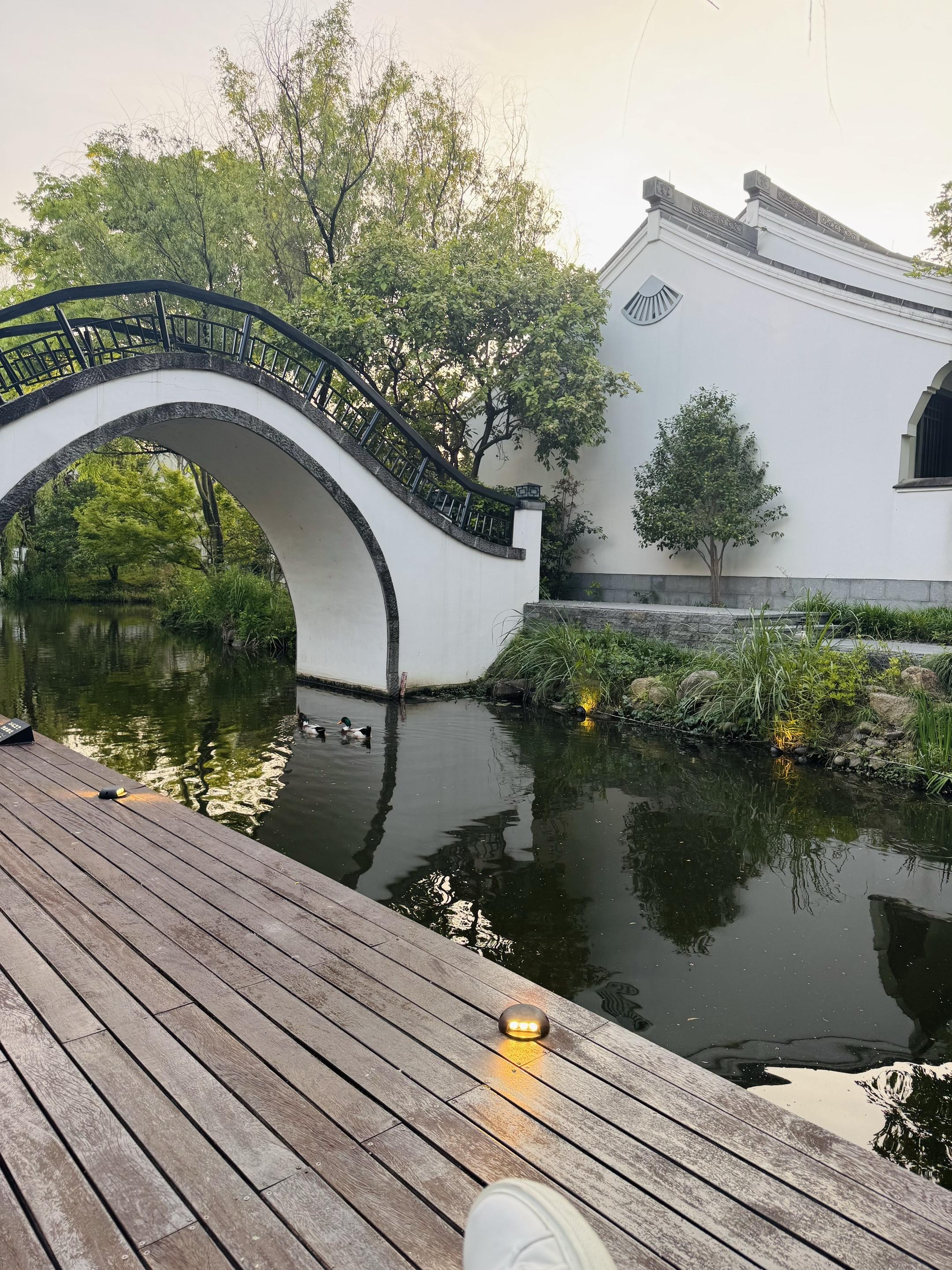 一座城市的秩序感和冷漠程度正相关 趋同的本质是集体安全感的需要 进而转...