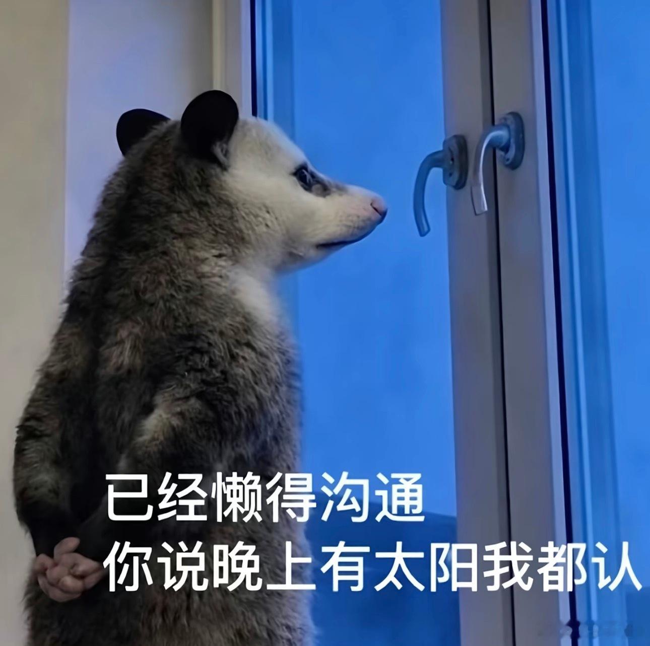 司晓迪曝汪苏泷恋情毁灭吧 