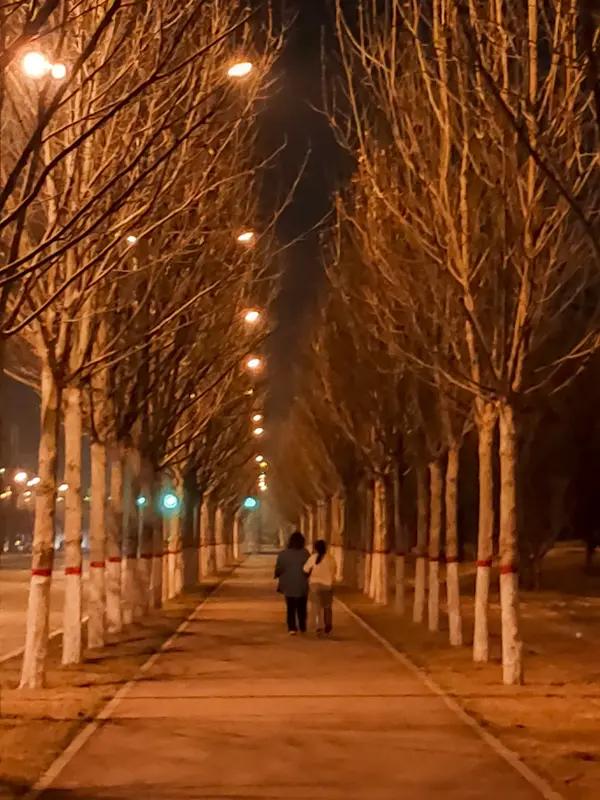 我每天晚上散步。晚上散步非常惬意，夜幕降临，城市的灯光亮起，街道少了白天的喧嚣。