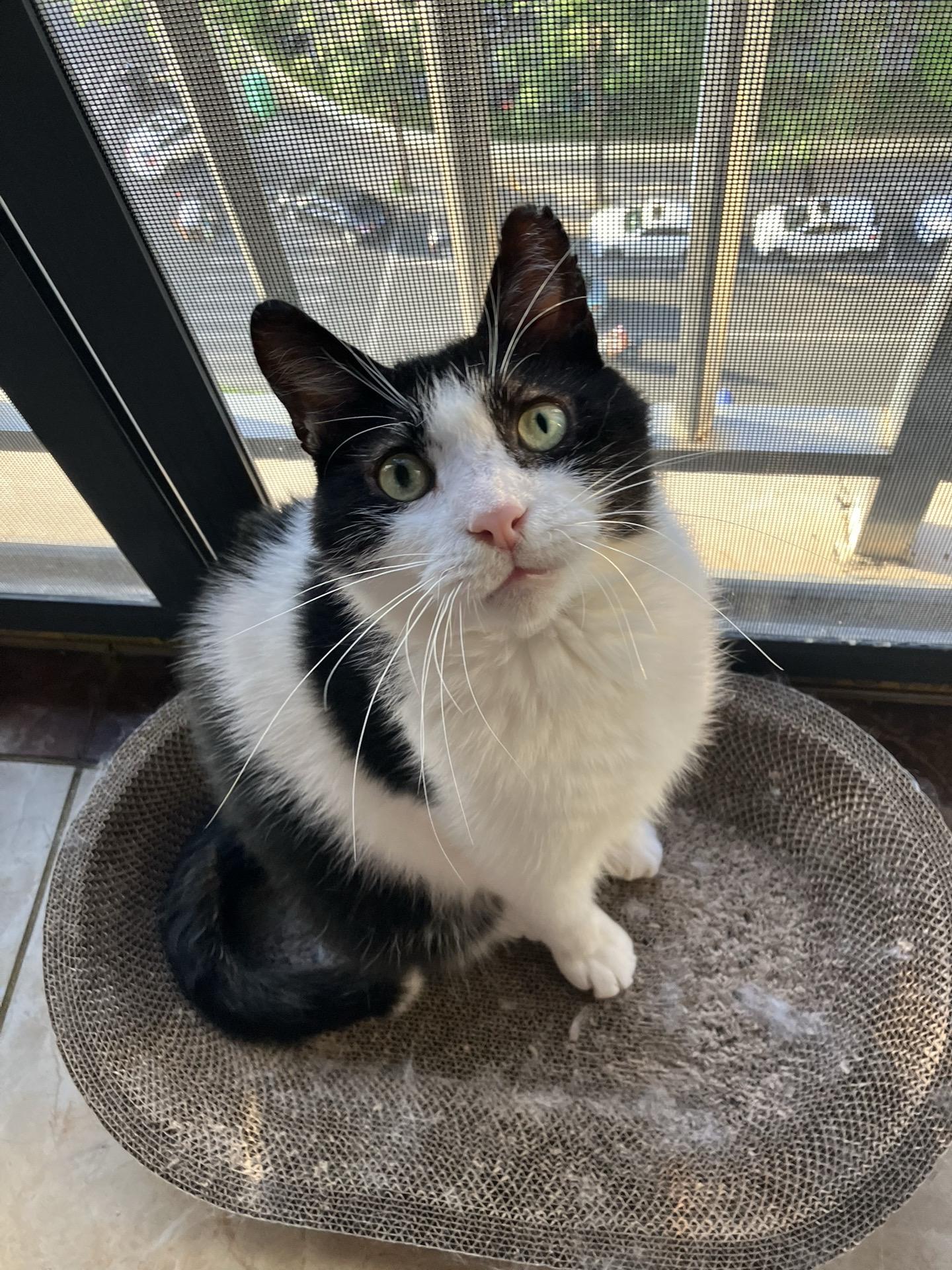 非常精致的碾。