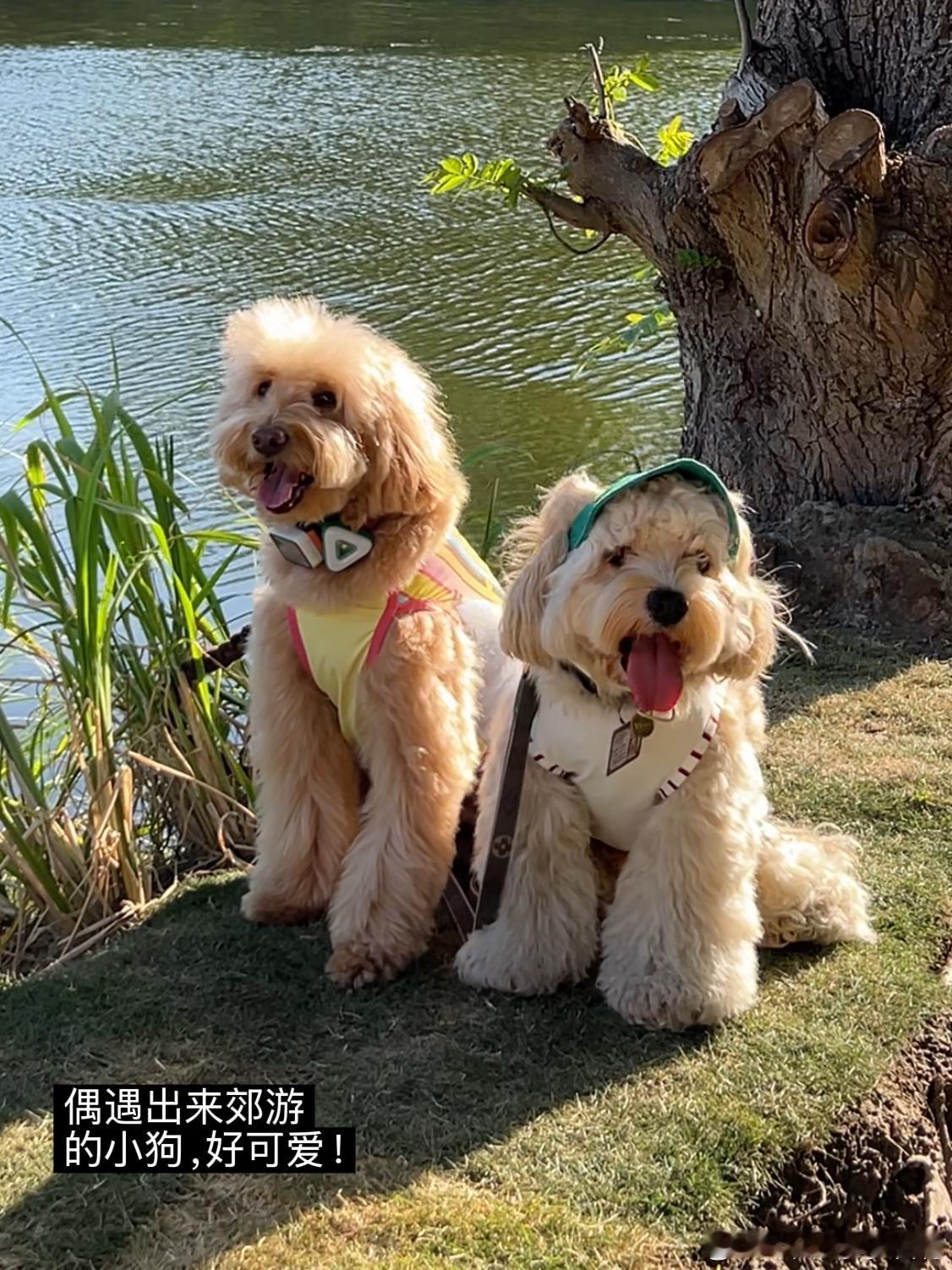 夕阳时刻🌄太久没有去看大自然，感觉活过来了！下次想带开心果来～ 
