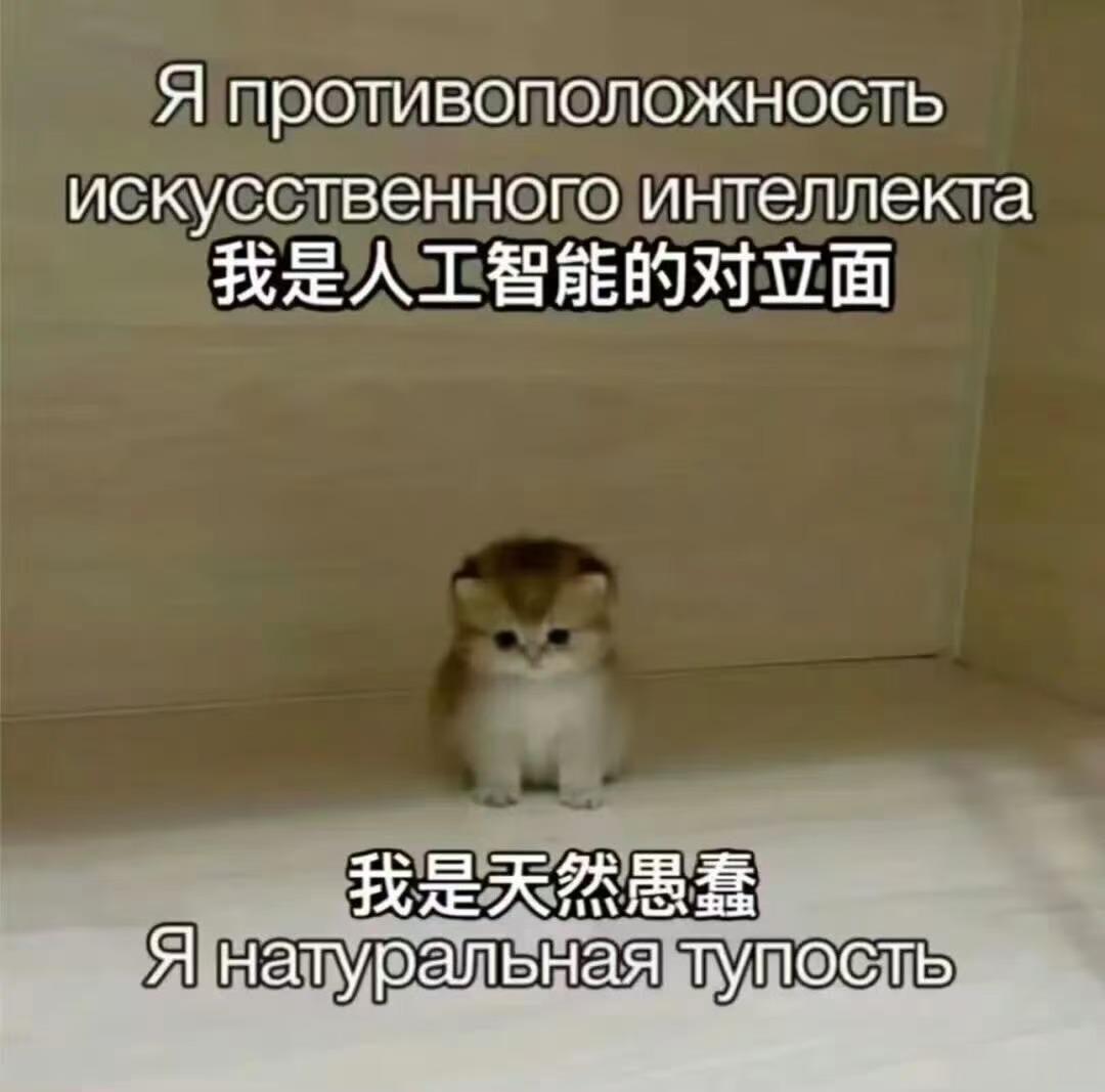 那我就是弱智白痴memes迷译图
