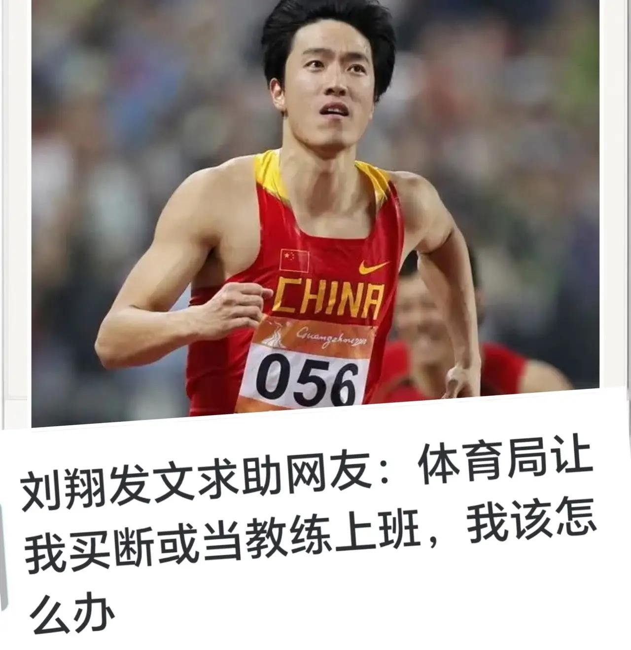 ​刘翔：组织找我谈话了，大家说我是留体制内上班还是买断走人？

网友：拿了工资就