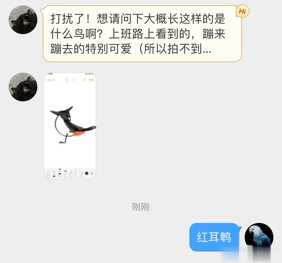 #小天才的鸟类绘画# 自带腮红的【红耳鹎bēi】特征抓得很到位下次继续画[开学季