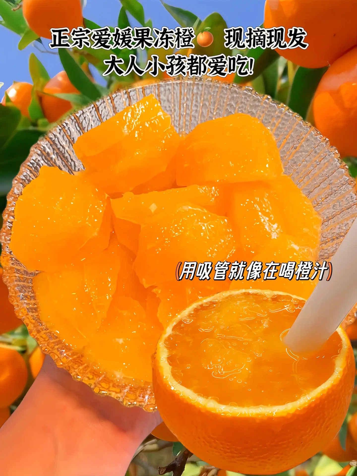 “爱媛果冻橙”终于等到上市了！我又回购了两箱！我家每年都会重复购买的橙...