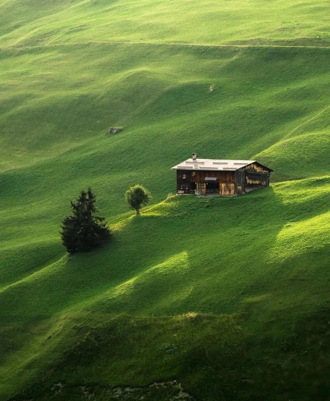 老特的昏照就是你本来就是一个做生意的人，无意之中闯入了政界，用你任性的想法 把世