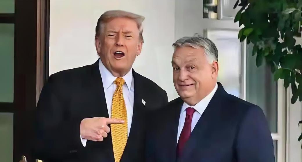 特朗普支持欧尔班，欧尔班输了；

特朗普支持威德尔，威德尔输了；

特朗普支持巴