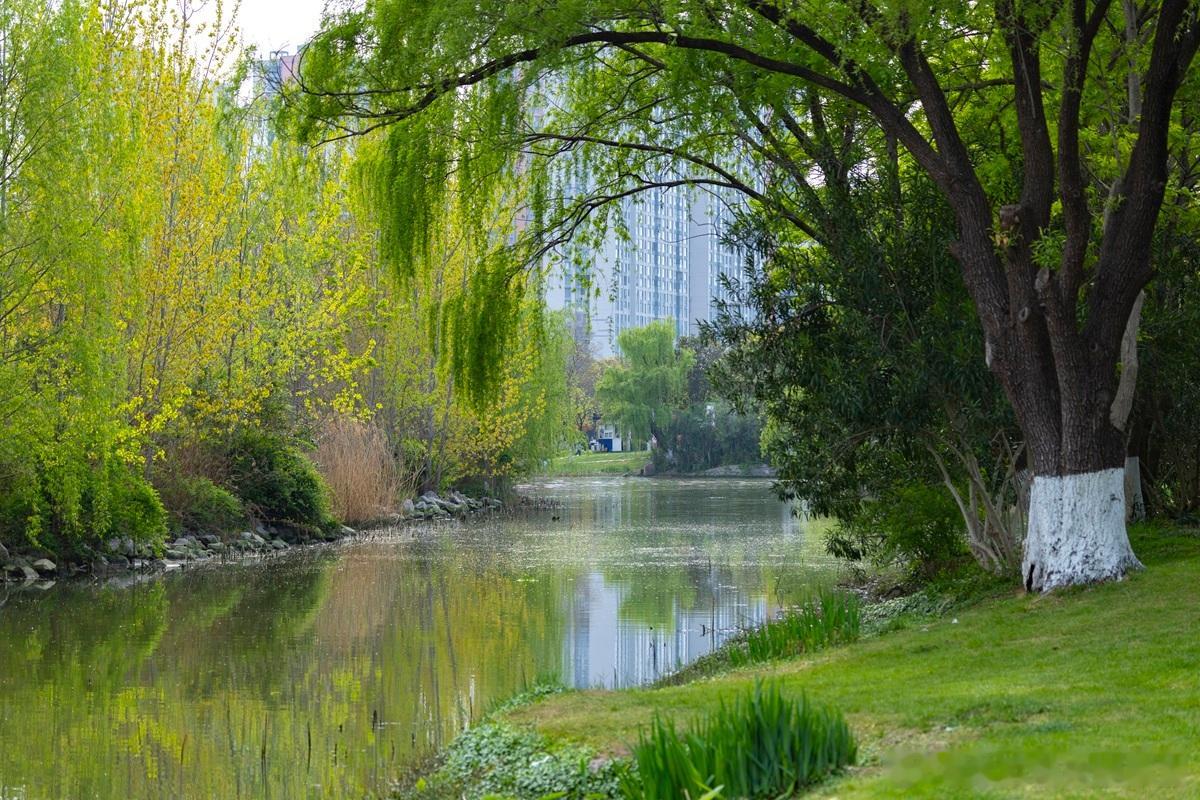 【公司章程的修改权：大股东不是“家法”】一句话说清：公司章程是公司的“宪法”，大