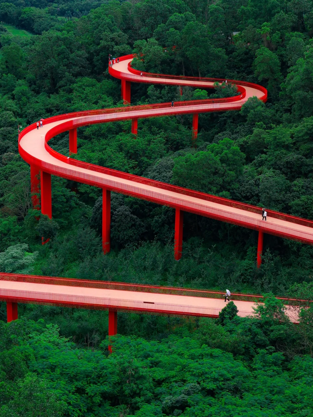 广州周边……🌲通往神秘森林的红色栈道‼️