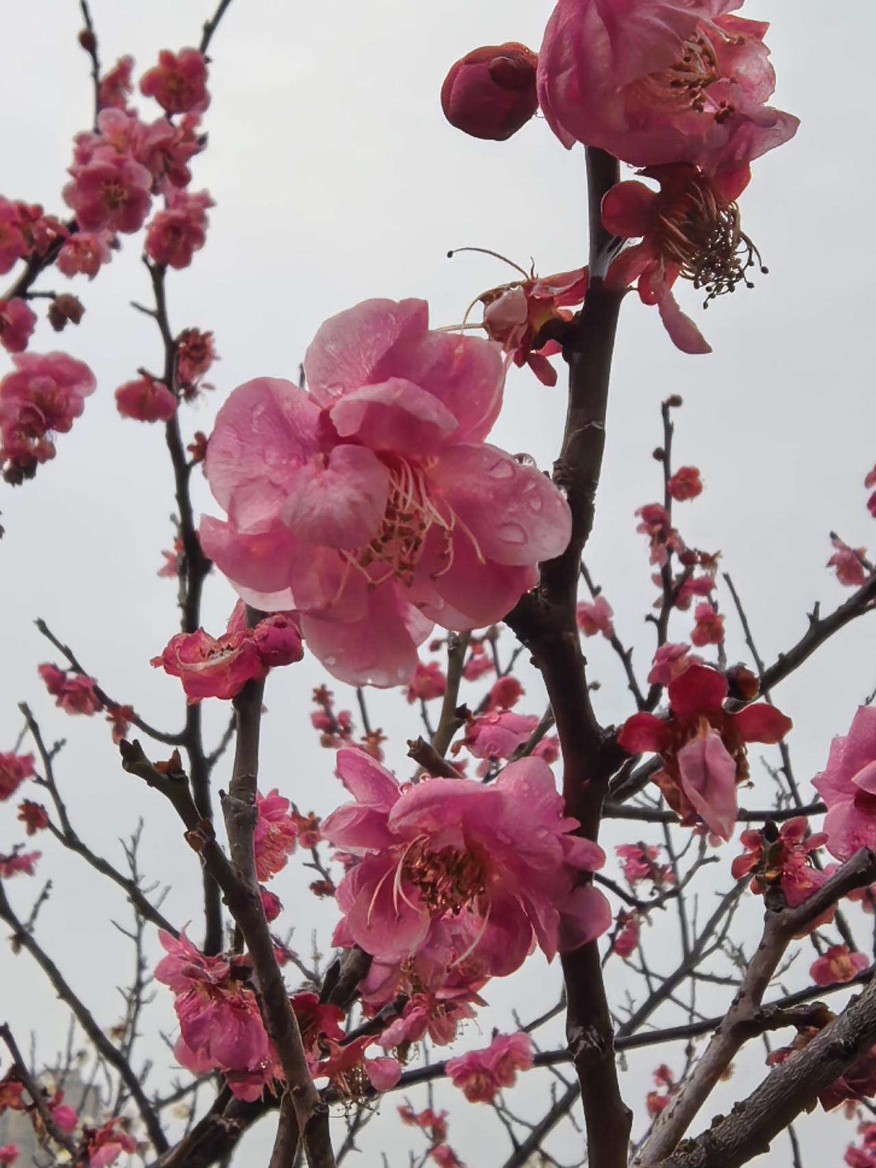 幸福是仓里的股票涨到你心慌，账面的浮盈厚到让你开始认真考虑要不要先套现一部分换个