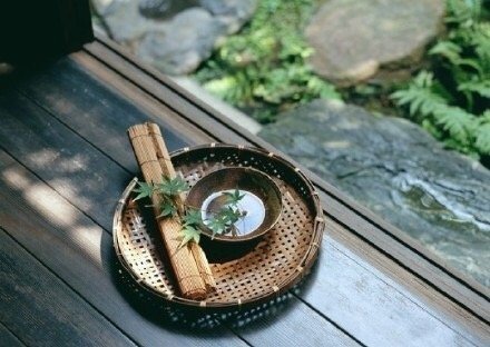 得不到的事物别惦记负能量的事物要远离人生本来就不差风雨就别再为己徒增伤悲​​​